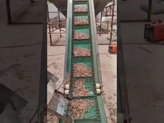 50HZ Halka Kalıp Ahşap Pelet Makinesi 3 Fazlı Dikey Pelet Yapma Makinesi 450-700mm