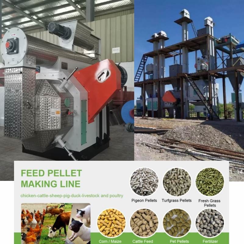 100kg ila 10 Ton Pelet Değirmeni Makinesi Hayvan Yemi Pelet Üretim Hattı Biyokütle Yakıtı