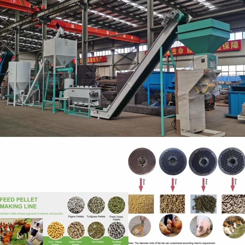 1Ton Hayvancılık Hayvan Yemi Makineleri Çim Pelet Yapma Makinesi Mısır Buğdayı