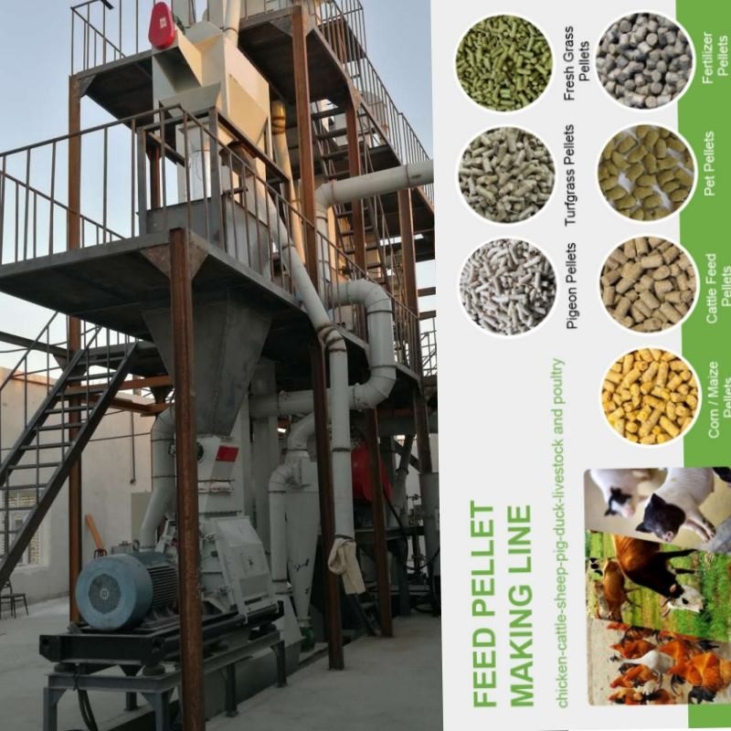 1-5 Ton / Saat Yatay Pelet Değirmeni Halka Kalıp Tavuk Yemi Üretim Makinesi