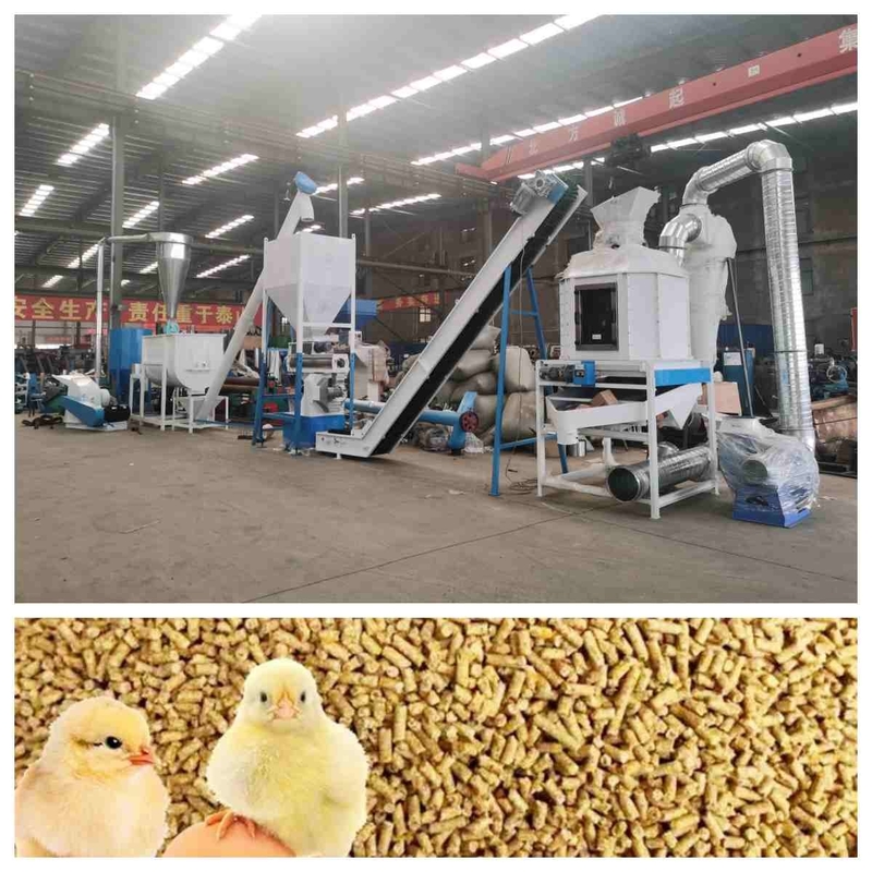 CE Yem Pelet Üretim Hattı 5t / H Buhar Jeneratörlü Halka Kalıp Yem Pelet Makinesi