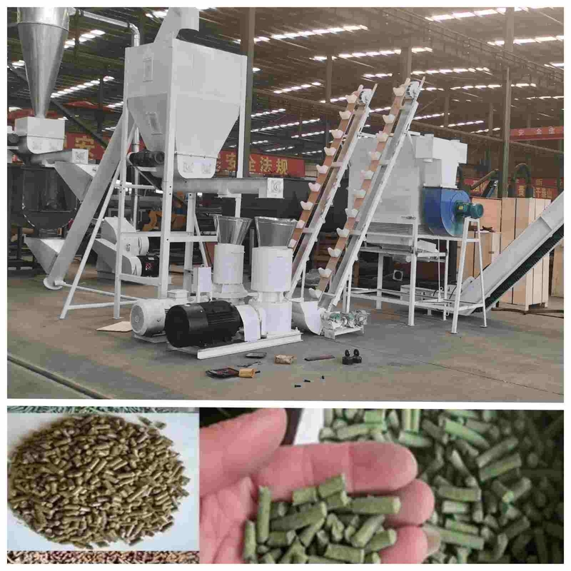 2ton / H Otomatik Kanatlı Pelet Makinesi Kanatlı Yemi İçin 2.5mm Pelet Yapma Makinesi