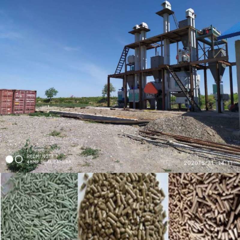 Besin İşleme Makineleri 2-18mm Ring Die Granulator Pellet Mill Pellet Making Animal Feed Pellet Machine Çiftlik