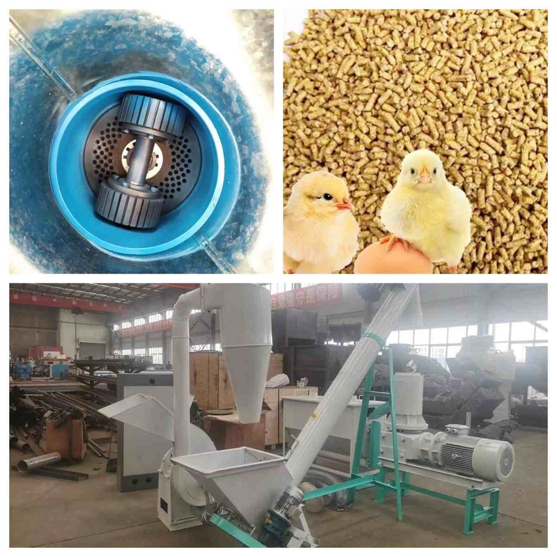 Düz Kalıp Yem Pelet Makinesi 300kg / H -1000Kg / H Küçük Hayvan Yemi Pelet Üretim Hattı