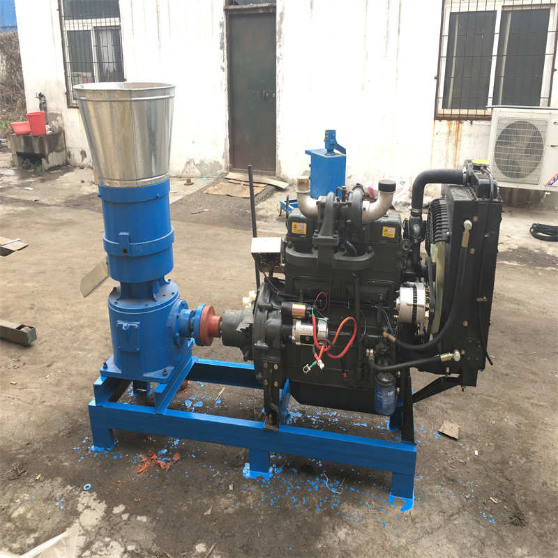 Tavuk yemi Pellet Mill Makine Pellet Mill Pellet Yapma Makine Makine Ev 15HP 2200r/M