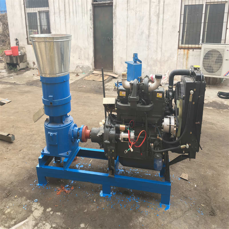 Tavuk yemi Pellet Mill Makine Pellet Mill Pellet Yapma Makine Makine Ev 15HP 2200r/M