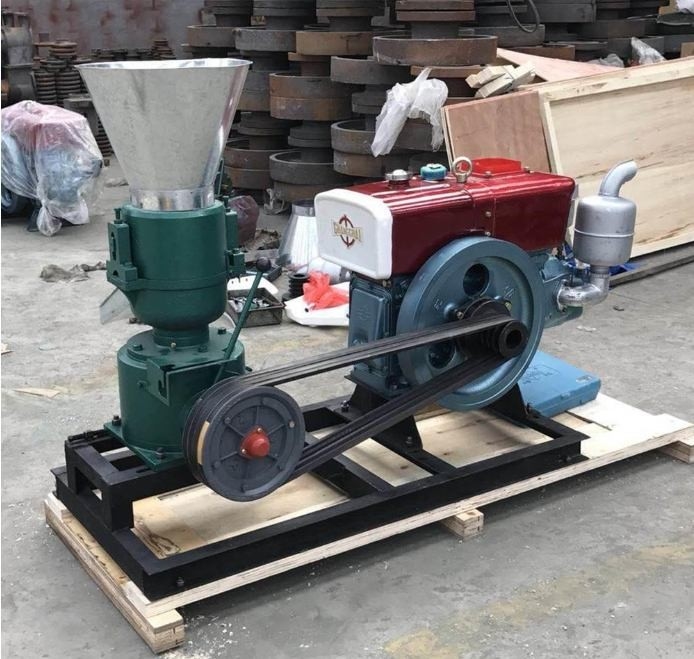 22HP Besin Pellet Mill Tavuk Besinleri için Renk Özelleştirme