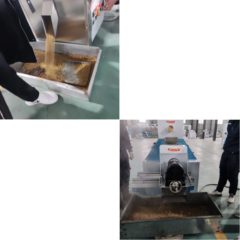 Otomatik Kuru Tipi Balık Besleme Ekstrüder Büyük Ölçekli Üretim için Elektrikli Isıtma