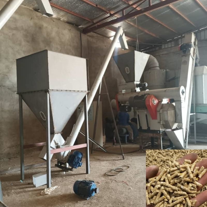 Hayvan Beslenmesi Pellet Üretim hattı Tavuk yetiştirme Beslenme Pelletleme Makinesi Hayvan beslenmesi için pellet yapın