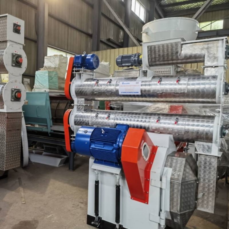 HKJ-250 Tek Kondisyonerli Tavuk Yemleri Pellet Mill Pellet Mill Machine Ring Die Feed Pellet Machine