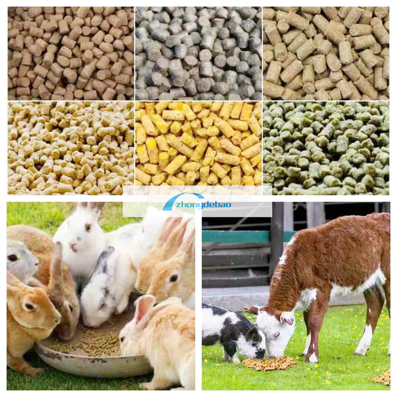 600-800 KG/Saat çıkış balık hayvan yemleri fabrikası köpek ve kediler için yem peleti ekipmanları gıda ekstrüder peletizer makinesi