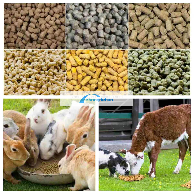 300-400 KG/H yüksek verimlilikli dizel tipli pet food pellet mill makinesi