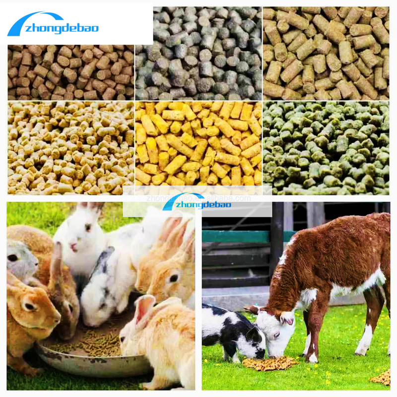 Yeni Tasarım 10HP Dizel Tipi Besin Pellet Makine 90kg/h Hayvan Besin Fabrikası Makine