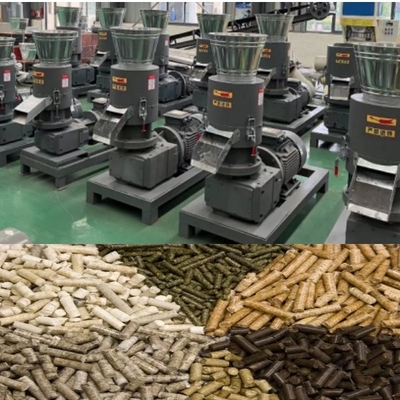 Saatte 200-500kg Talaş Ahşap Pelet Makinesi Endüstriyel Kullanım İçin Hareketli Rulo Ahşap Pelet Değirmeni Makinesi