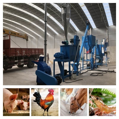 30kw Hayvan Yemi Pelet Yapma Makinesi Düşük Bakım Çiftliği Hayvancılık Yem Pelet Değirmeni